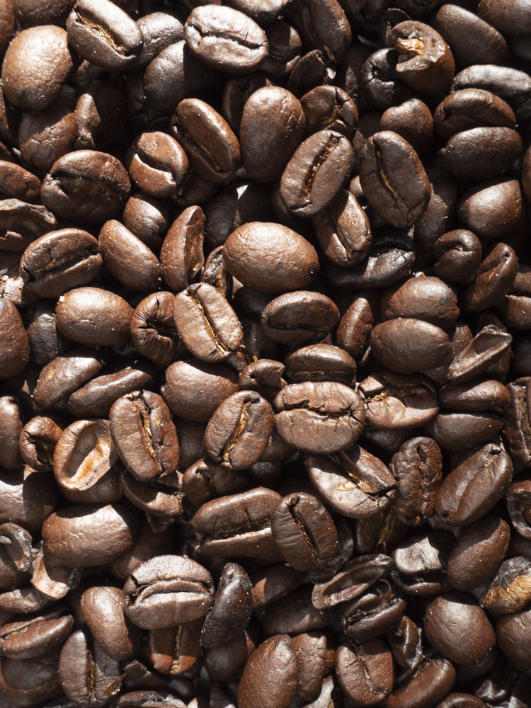 Coffee macro series with 4 different textures of the same product. close up of whole coffee beans.